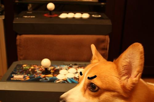 Arcade Stick アーケードスティック
